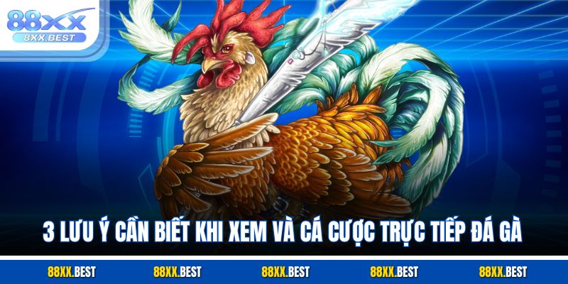 3 lưu ý cần biết khi xem và cá cược trực tiếp đá gà