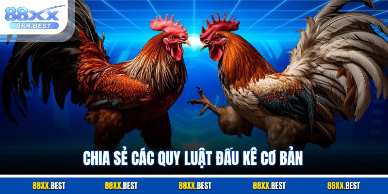 Chia sẻ các quy luật đấu kê cơ bản